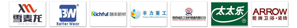 z型斗式提升機(jī)客戶案例